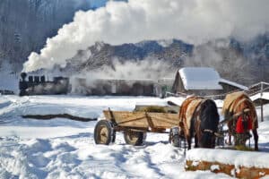 Acasă 6 Maramures Pensiunea in deal la Ancuta2